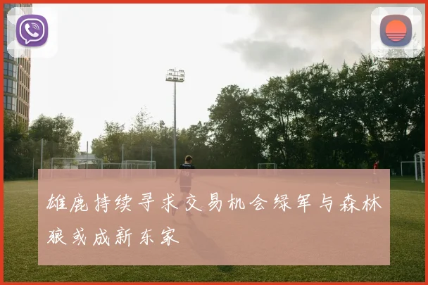雄鹿持续寻求交易机会绿军与森林狼或成新东家