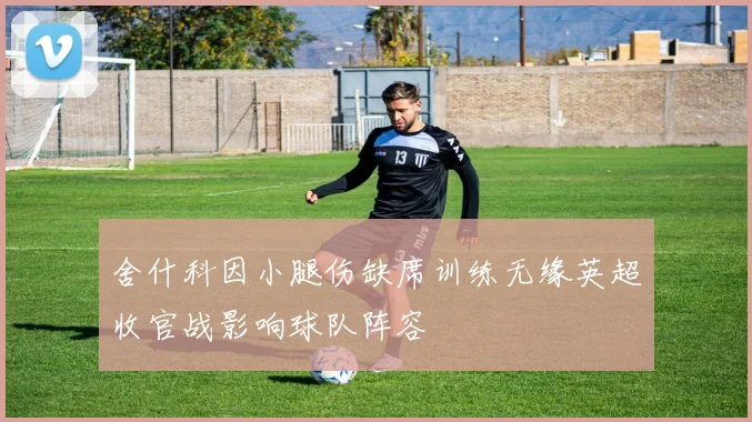 舍什科因小腿伤缺席训练无缘英超收官战影响球队阵容