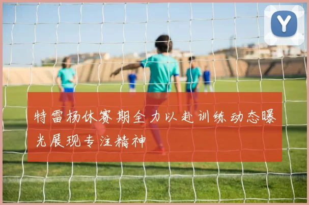 特雷杨休赛期全力以赴训练动态曝光展现专注精神