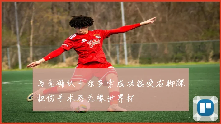 马竞确认卡尔多索成功接受右脚踝扭伤手术恐无缘世界杯